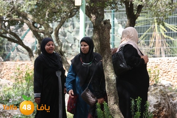 re7la7efa483 (31).JPG